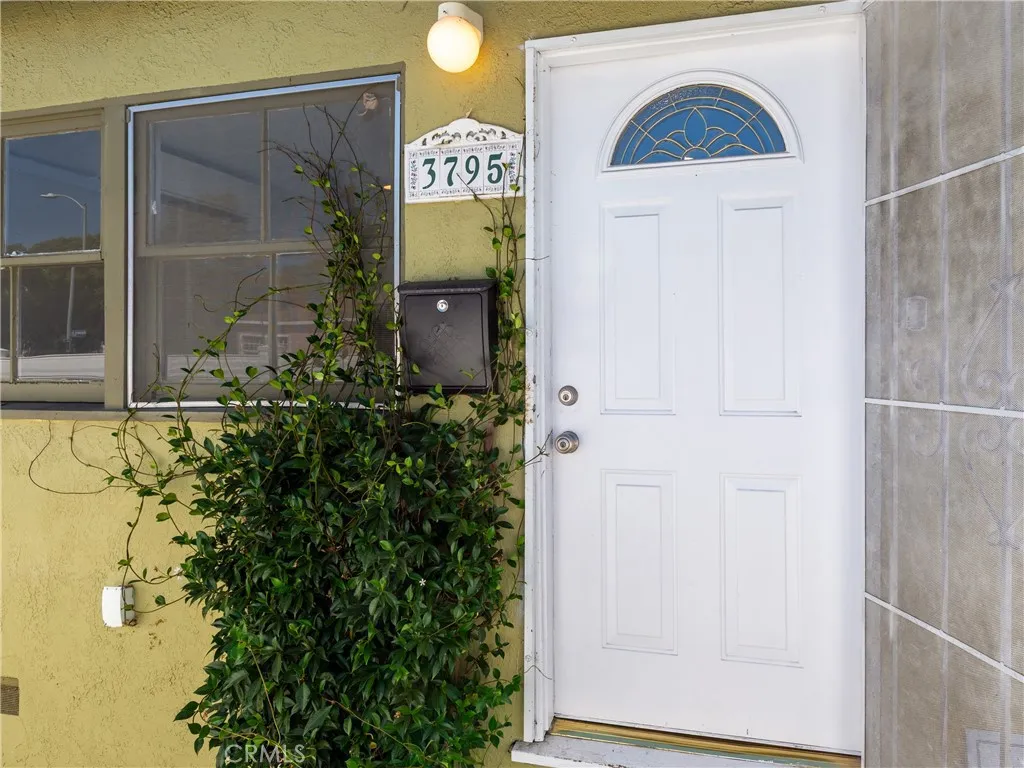 3795 Maplewood Avenue, Los Angeles, California 90066, 2 Bedrooms Bedrooms, ,2 BathroomsBathrooms,Residential Lease,For Rent,Maplewood Avenue,TR25184166
