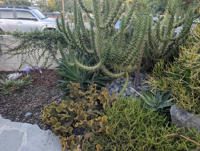 442 3rd St, Encinitas, California 92024
