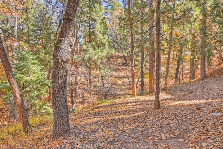 1180 S Sheephorn Road, Big Bear City, California 92314