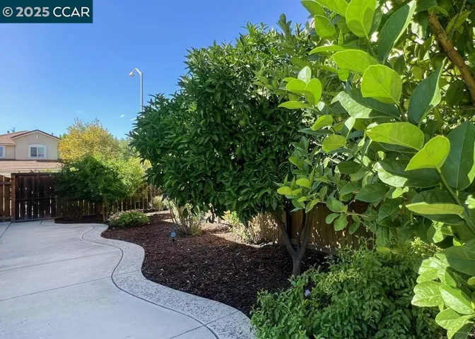 10552 Clarks Fork Cir, Stockton, California 95219