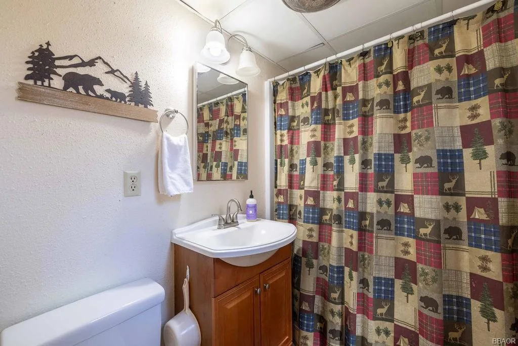 217 E Angeles Boulevard, Big Bear, California 92314 home-pic-12