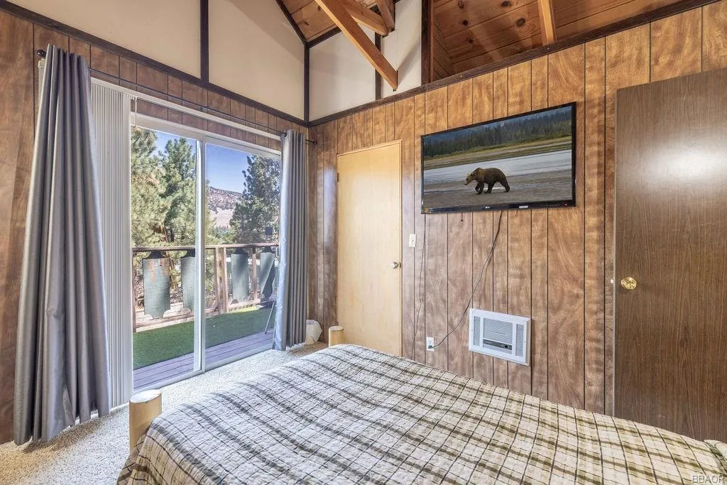 217 E Angeles Boulevard, Big Bear, California 92314 home-pic-18