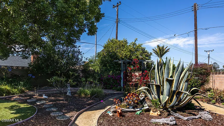 back yard 8
