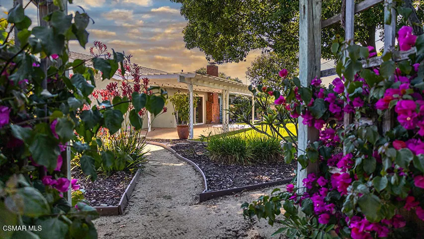 side yard 1
