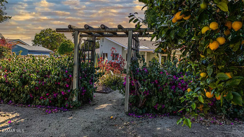 side yard 2