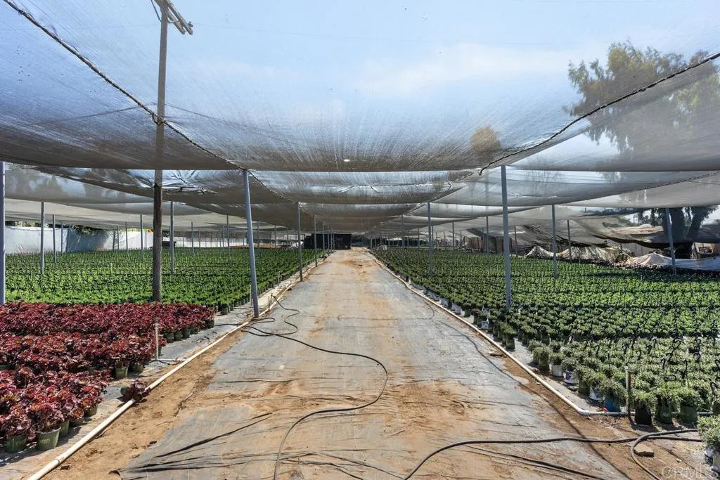 787 Cassou Road, San Marcos, California 92069 home-pic-23