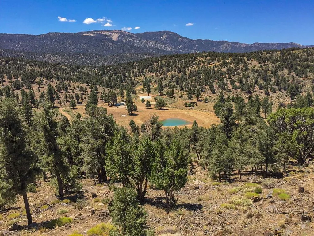 550 Eagle Ridge, Big Bear, California 92314 home-pic-23