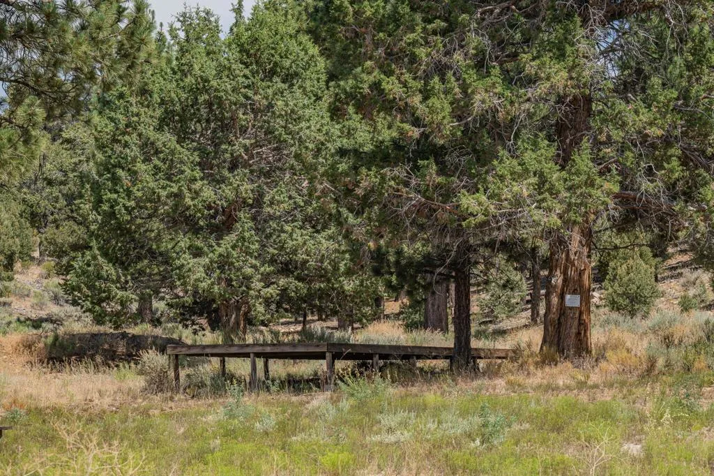 550 Eagle Ridge, Big Bear, California 92314 home-pic-12