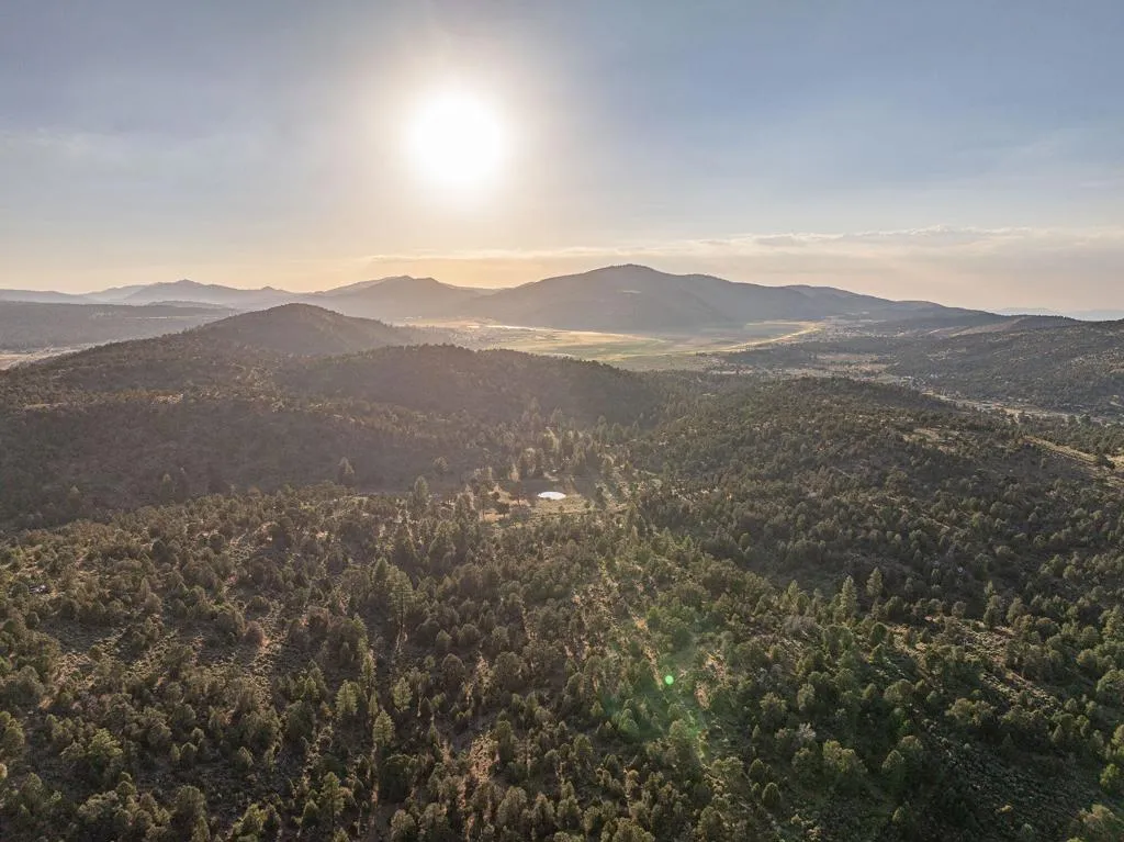 550 Eagle Ridge, Big Bear, California 92314 home-pic-29