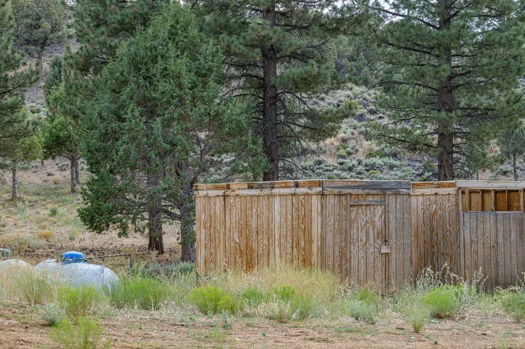 502 Baldwin, Big Bear, California 92314 home-pic-13