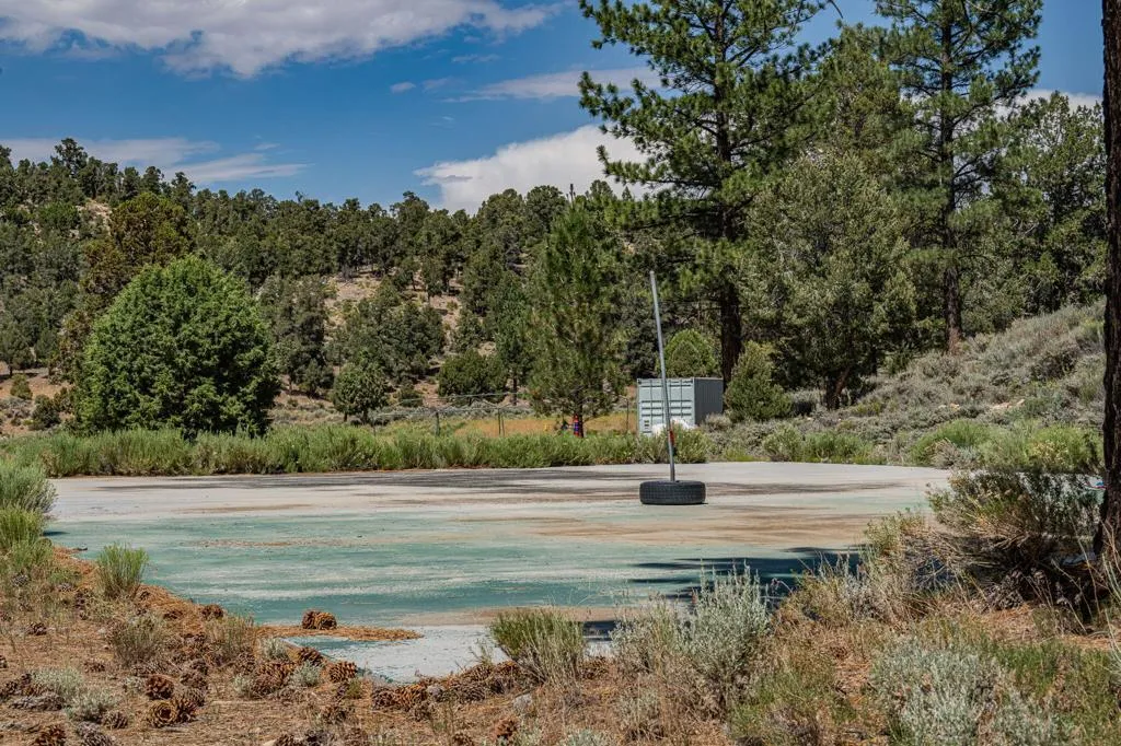 502 Baldwin, Big Bear, California 92314 home-pic-12