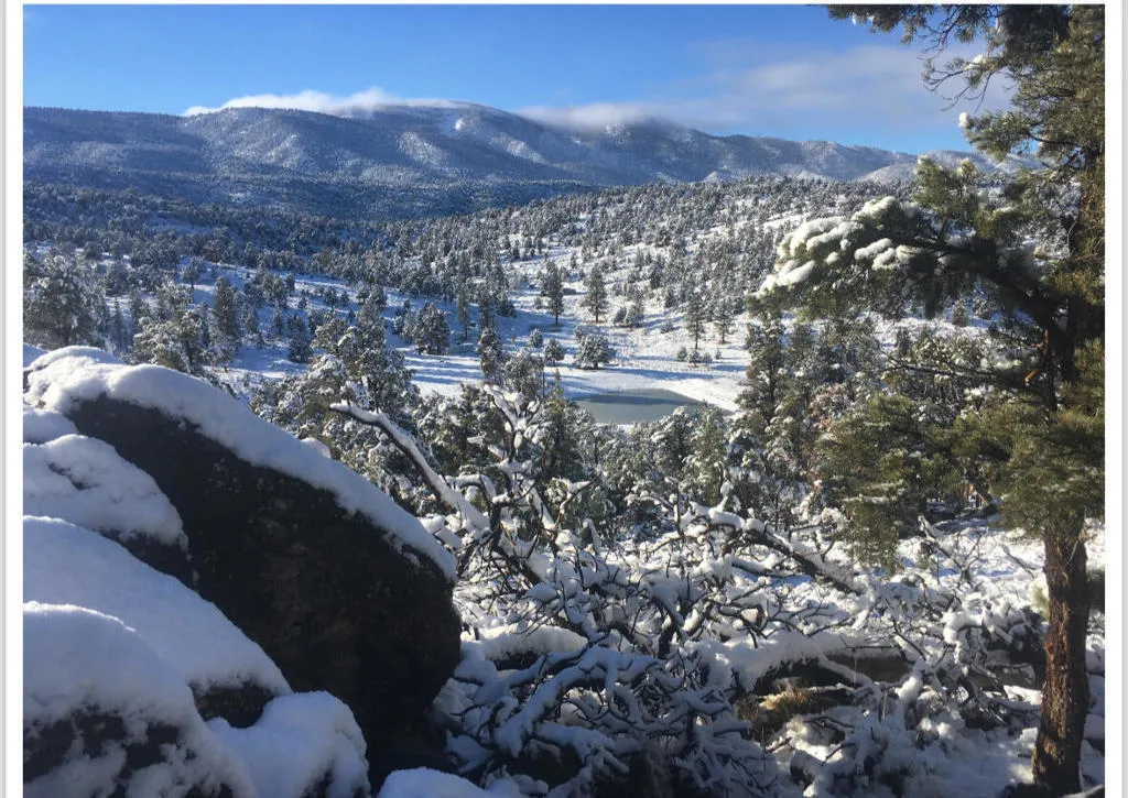 502 Baldwin, Big Bear, California 92314 home-pic-1