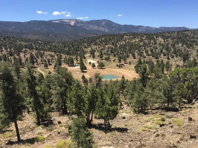 Eagle Ridge 4