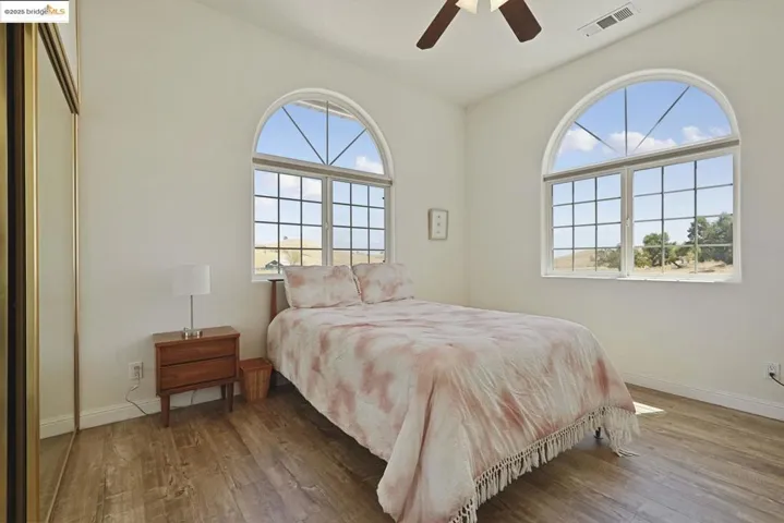 Bedroom featuring multiple windows, dark wood finished floors, ceiling fan, and a closet