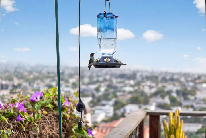 57-web-or-mls-001_UpmarketMedia-1871Terr