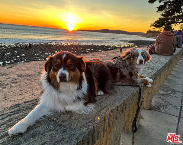 Nearby Butterfly Beach