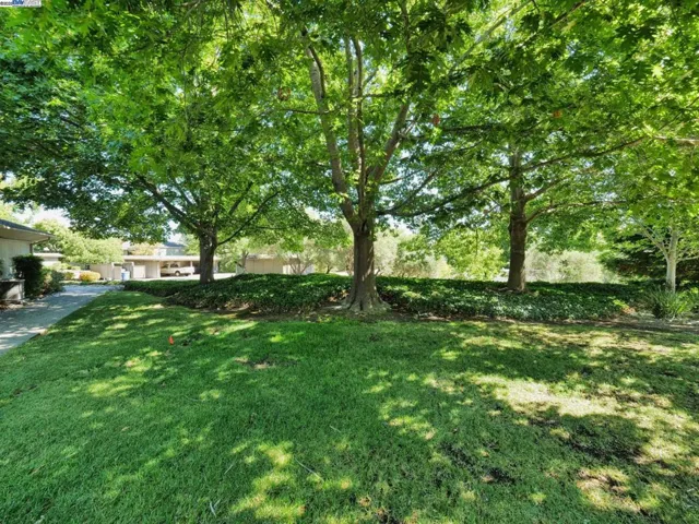 1209 Oakmont Drive 1, Walnut Creek, California 94595