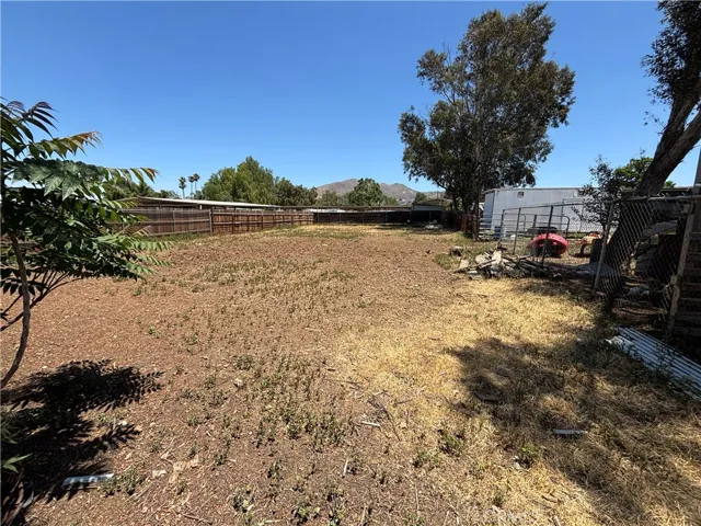 Back half of the yard.