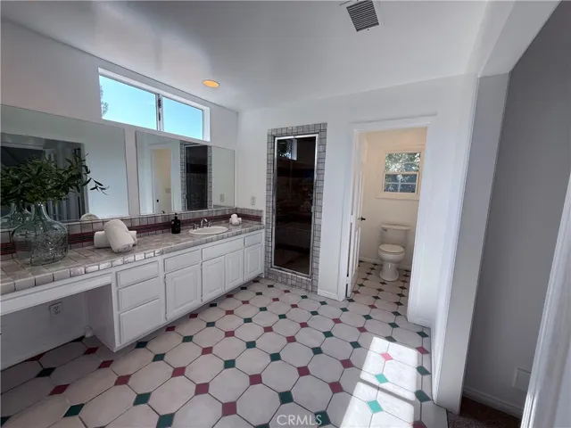 In-Law Suite Bathroom