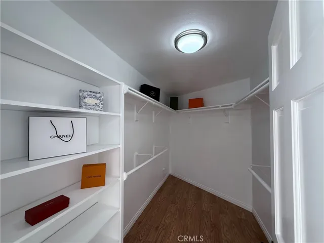Downstairs Primary Closet