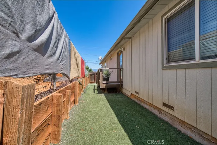 Dog Yard