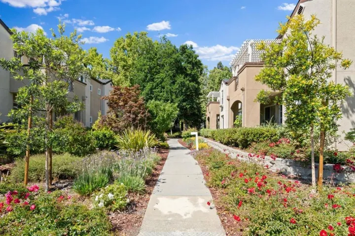 803 Debut Court, San Jose, California 95134
