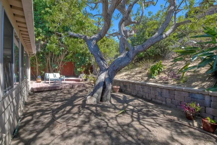 265 Fraxinella St, Encinitas, California 92024