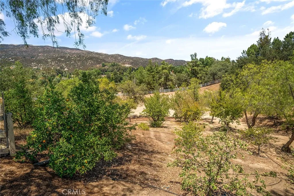 19750 Avenida Rosella, Murrieta, California 92562 home-pic-53