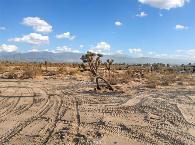 12526 Ponderosa Road, Pinon Hills, California 92372