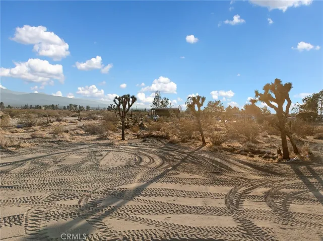 12526 Ponderosa Road, Pinon Hills, California 92372