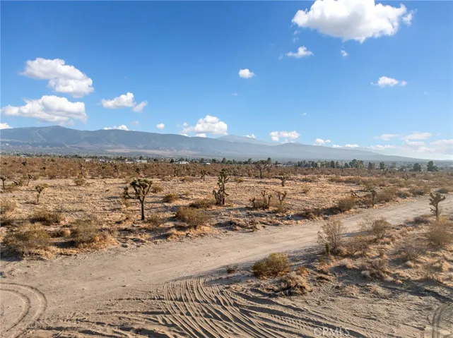 12526 Ponderosa Road, Pinon Hills, California 92372