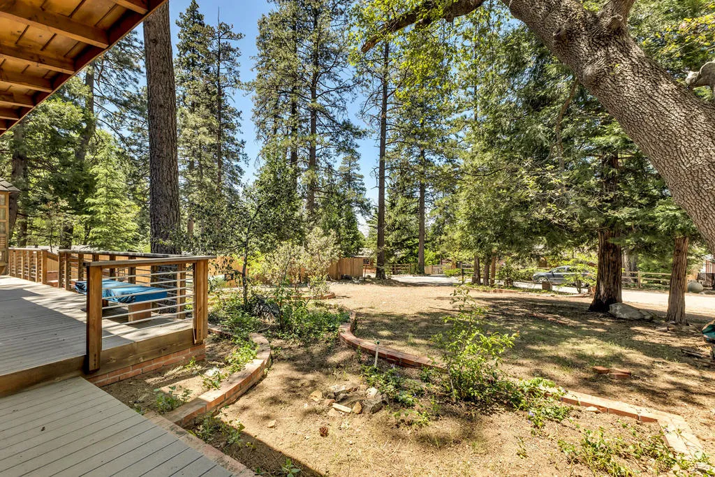 25270 Palomar Road, Idyllwild, California 92549 home-pic-53