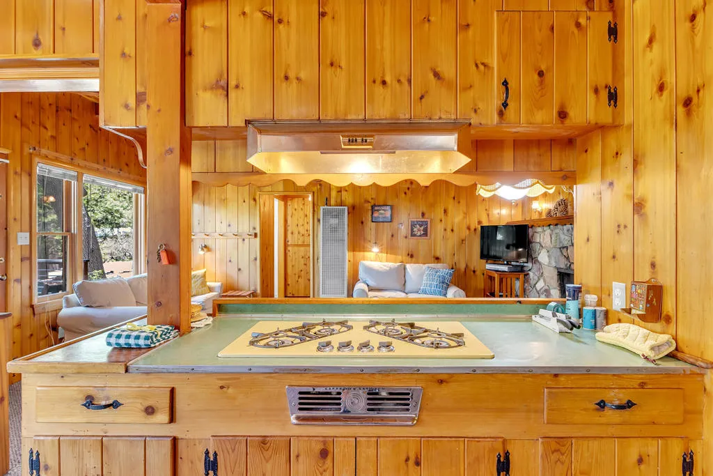 25270 Palomar Road, Idyllwild, California 92549 home-pic-17