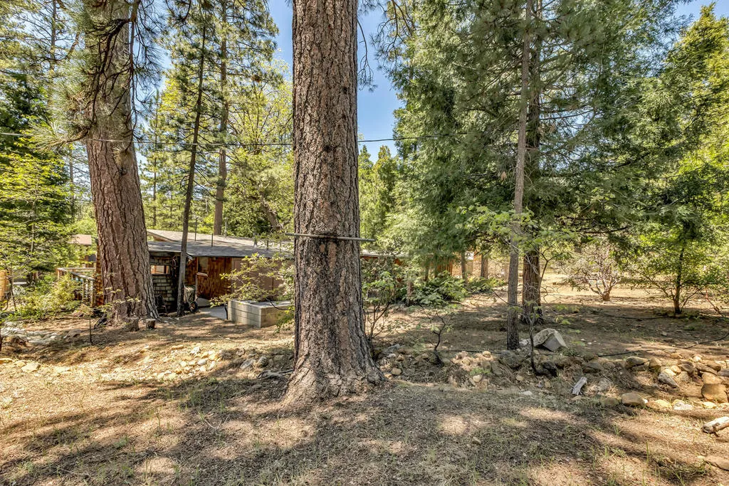 25270 Palomar Road, Idyllwild, California 92549 home-pic-41