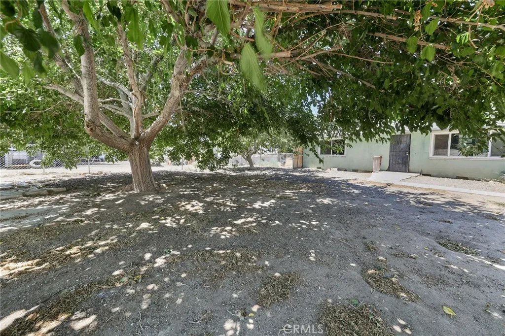 7812 Pearblossom, Littlerock, California 93543 home-pic-21