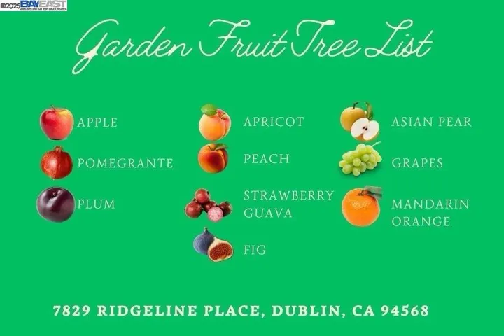 7829 Ridgeline Place, Dublin, California 94568