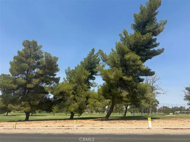 Local Golf Course