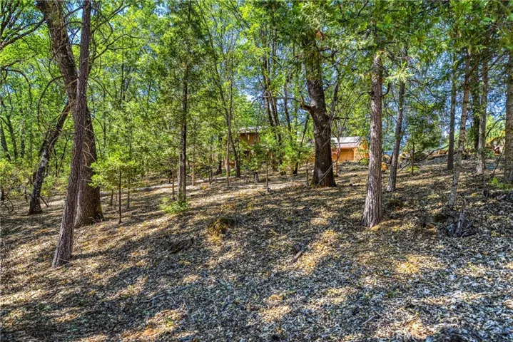 10512 Rosa Trail, Kelseyville, California 95451