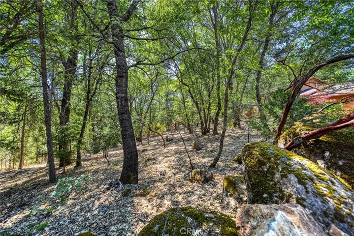 10512 Rosa Trail, Kelseyville, California 95451