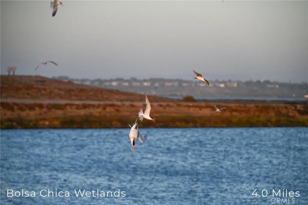 414 Main Street 420, Huntington Beach, California 92648 home-pic-23