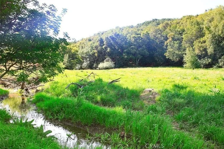 Headwaters of Santa Rita Creek