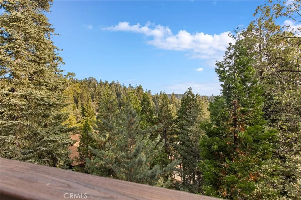 386 Rainier Road, Lake Arrowhead, California 92352 home-pic-40