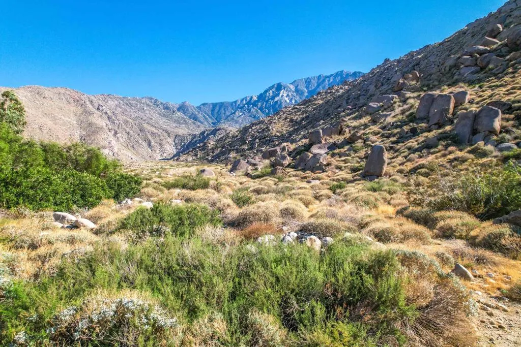 15971 Snow Creek Road, Whitewater, California 92282 home-pic-33