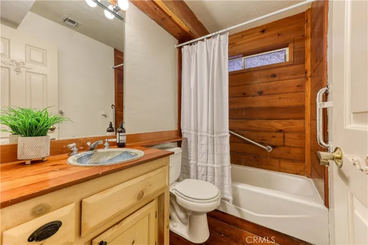 Lower level full hall bath