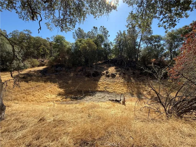 Seasonal Pond