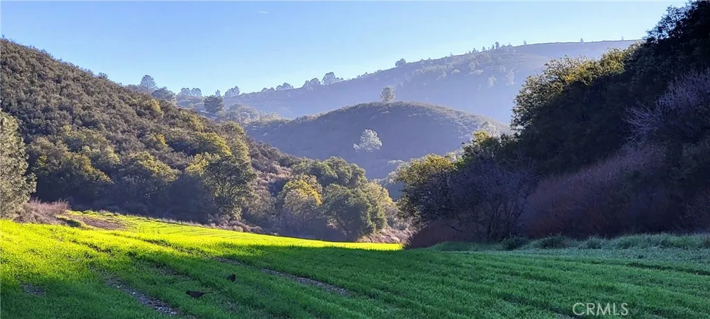 80+/- acre valley for barley, horses, golf course?