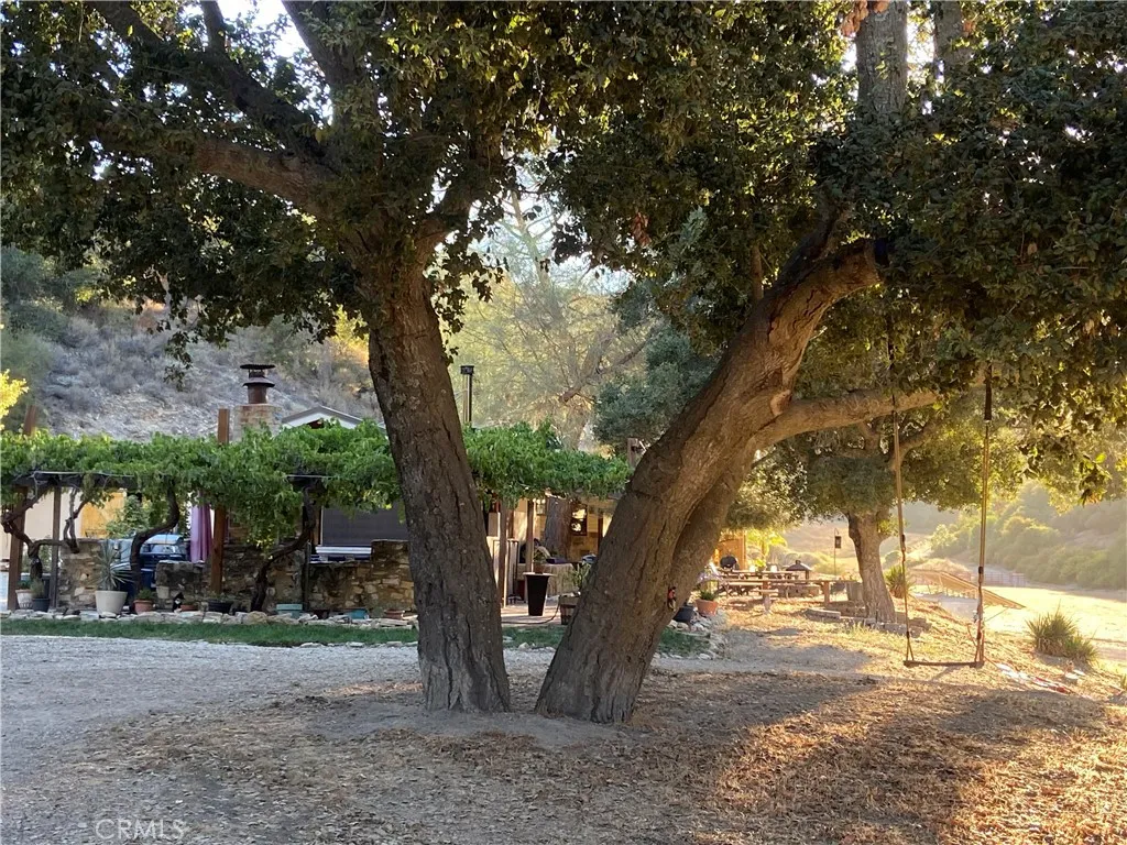 Character & beauty abounds at the Bravo Moon Ranch