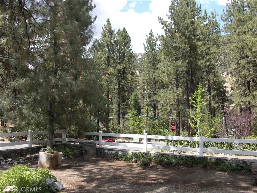 5865 Elm Street, Wrightwood, California 92397 home-pic-3