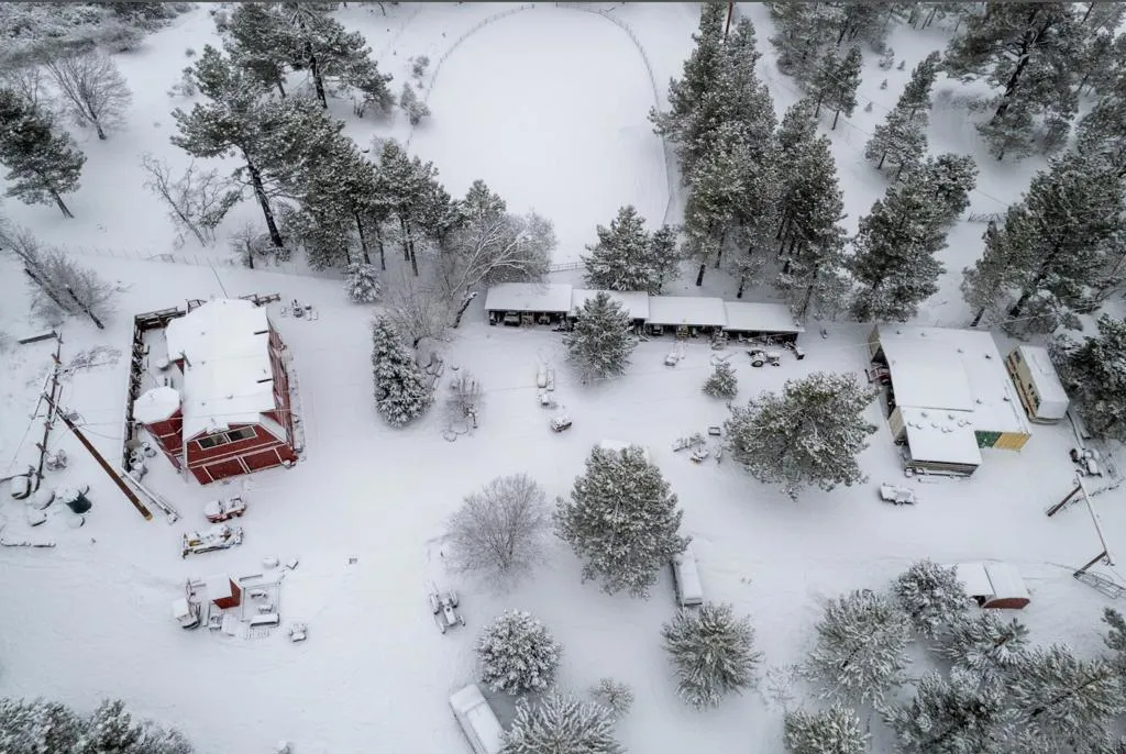 8203 Morris Ranch Road, Mount Laguna, California 91948 home-pic-30