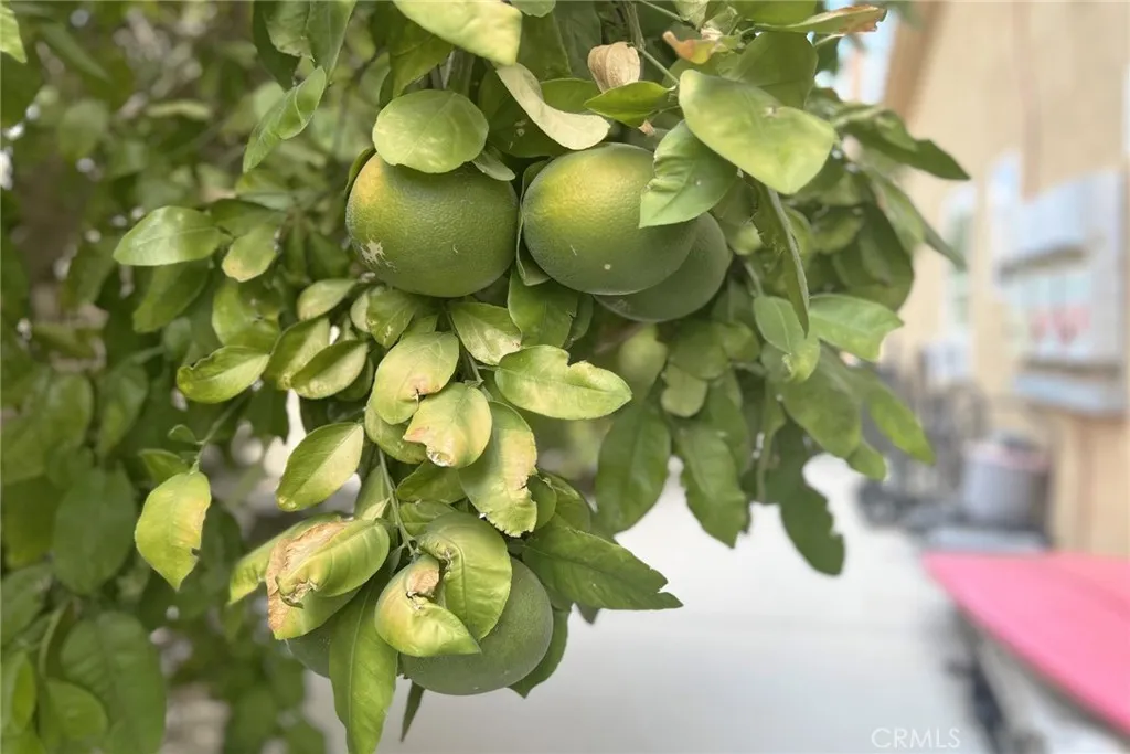 41396 Farmer Court, Indio, California 92203 home-pic-55